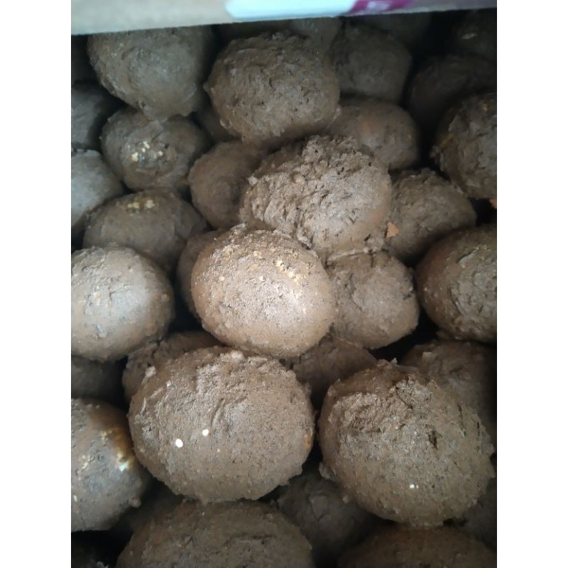 Telur Asin Mentah