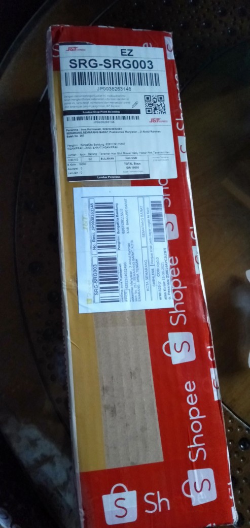 Bunga Gantung Lipstik Oranye