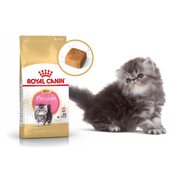 Royal Canin Persian Kitten 400gr Makanan Anak Kucing Persian