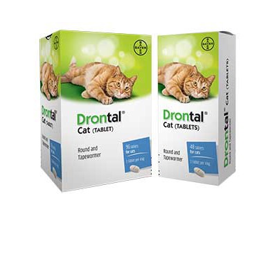 DRONTAL CAT EXP. 2025