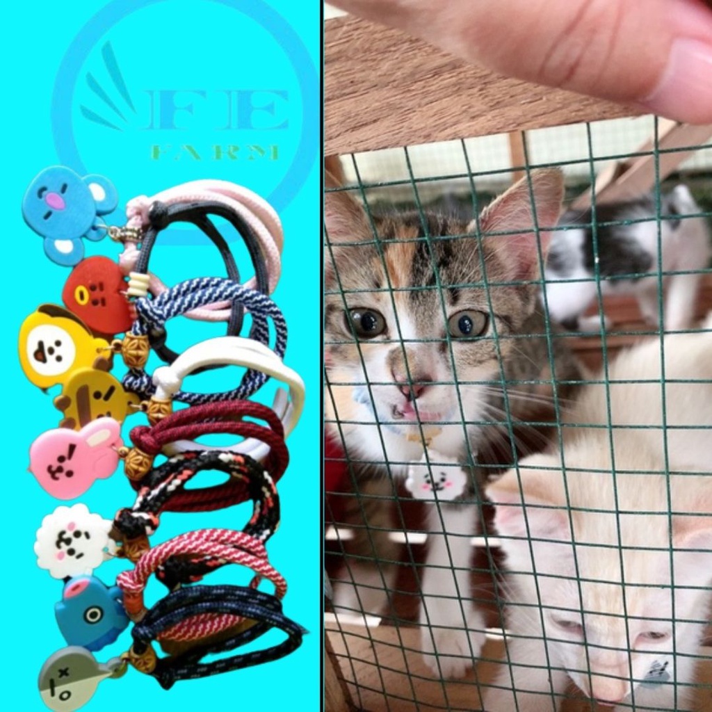 Kalung Kucing Lonceng 14mm BTS Murah Bikin Kucing Makin Mudah Dikenali FEFARM