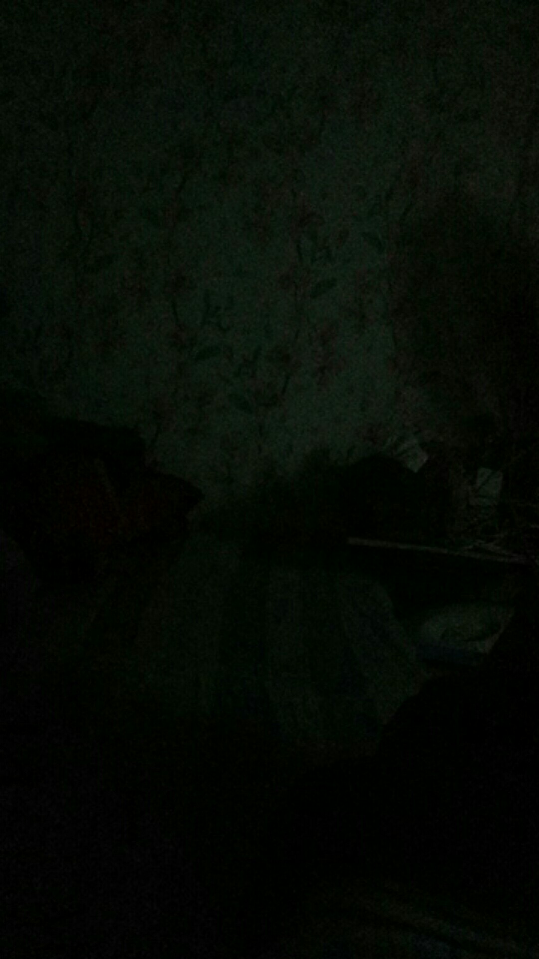 Gembok Leher Panjang Ukuran 30-60 Mm / Padlock Termurah Majesty & Bonucci