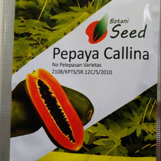 150 Butir | Benih pepaya California Asli IPB kemasan aluminium foil
