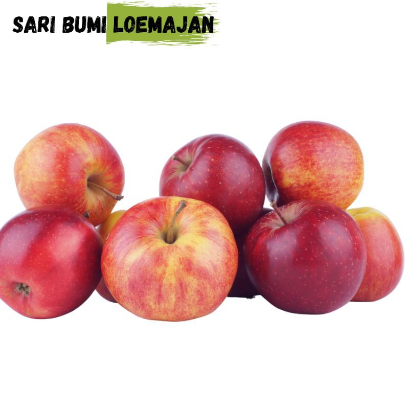 

apel malang 1kg/ buah apel malang