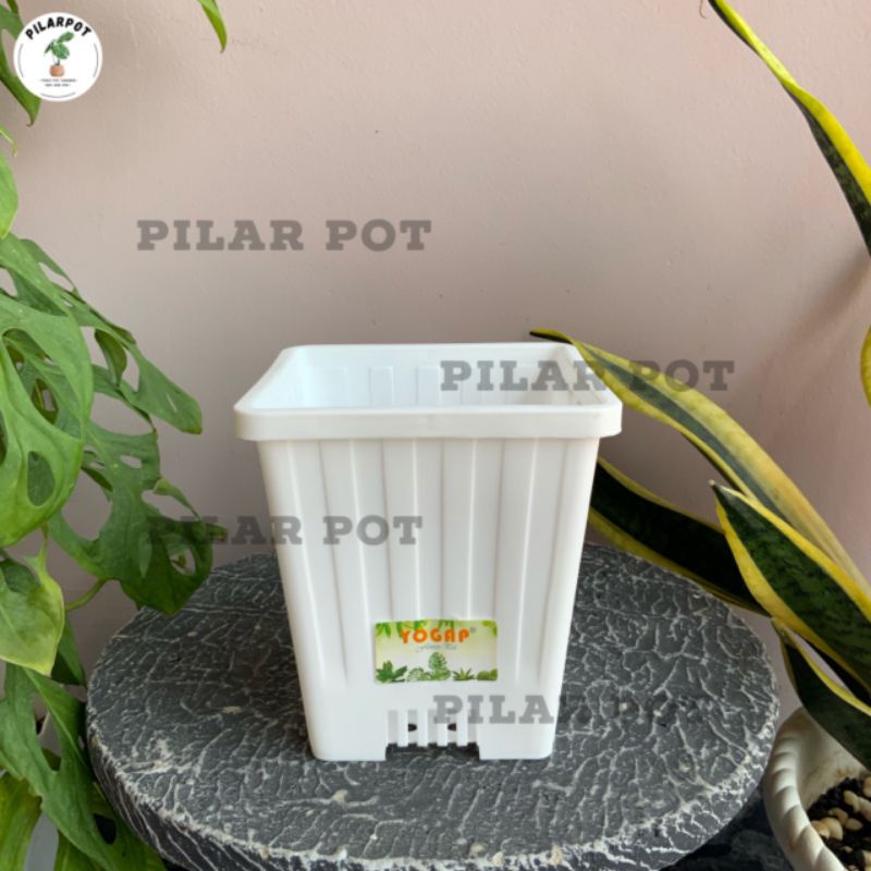 POT BUNGA TANAMAN TINGGI YOGAP KOTAK 12 PUTIH - YOGAP YPK 12 PUTIH