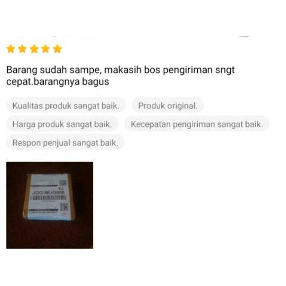 ♙ Senar Pancing Kuat Phenex Alligator ➸