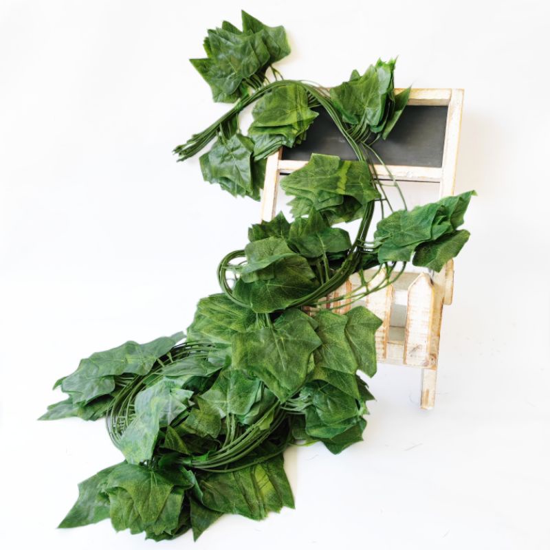 (12PCS) Daun Rambat Besar 30 helai AL95 Findlove Peperomia Semangka Ivy Calathea Begonia Vine Plastik