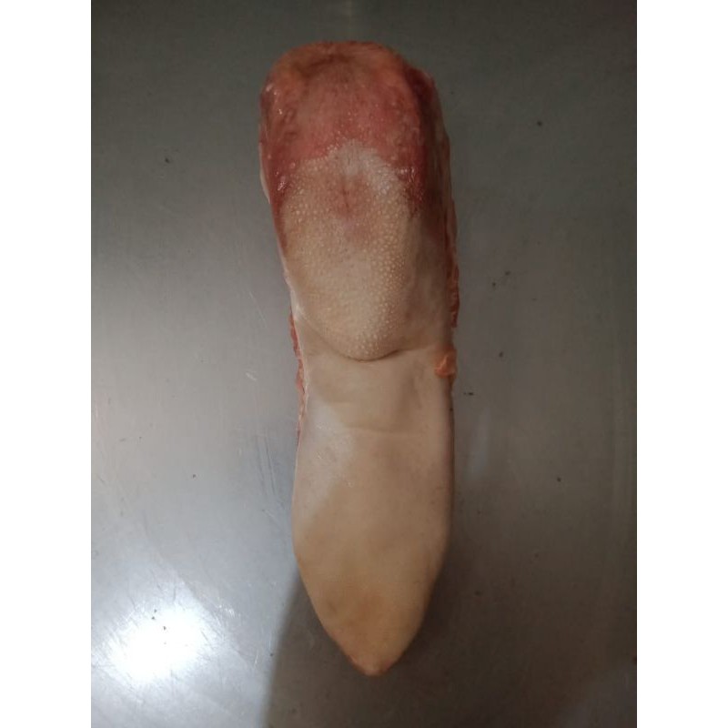 

Lidah sapi 500gr