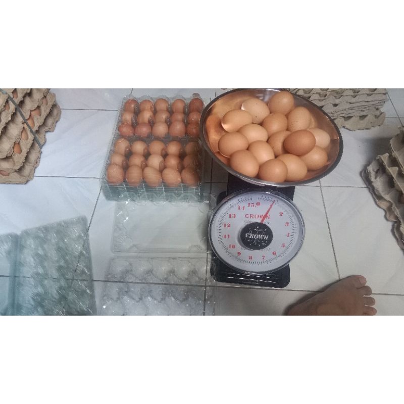 

telur ayam negri 15butir