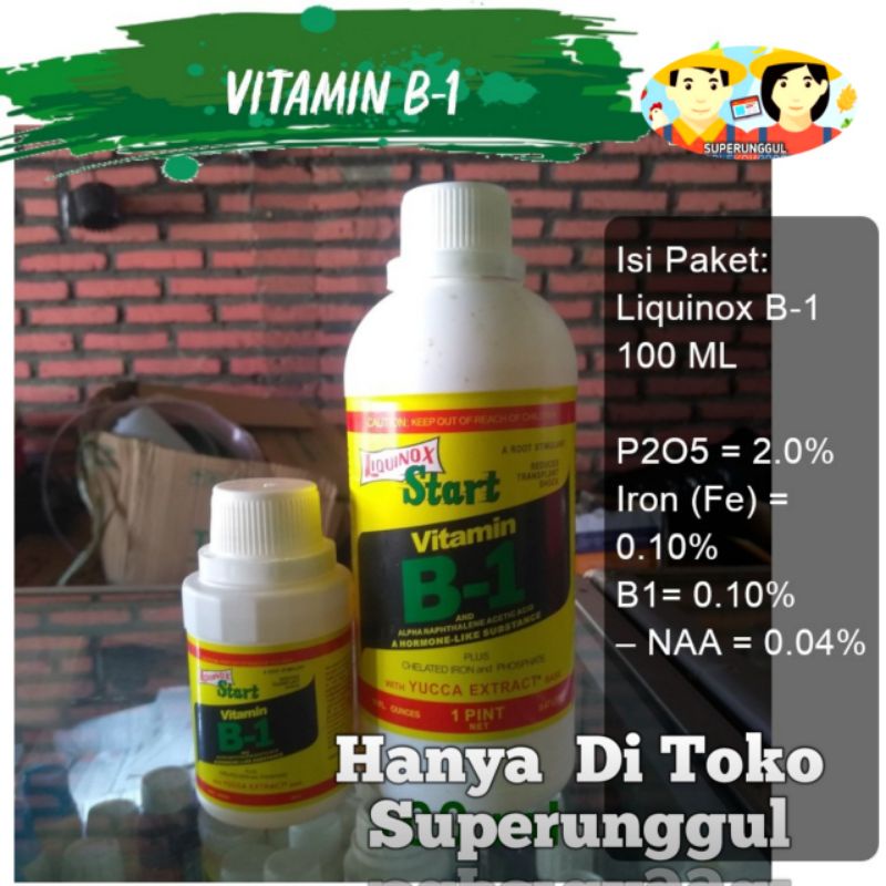 Vitamin B1 Untuk Penghilang Stres Tanaman