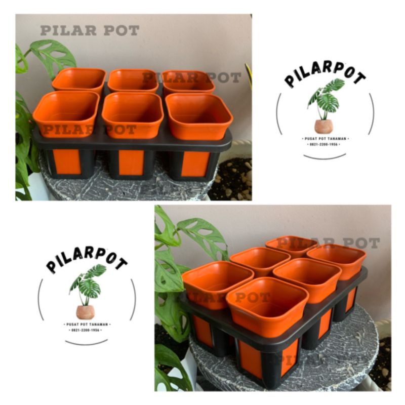 1 set Tray + POT BUNGA NKT KOTAK 7 CM MERAH BATA | tray semai bibit