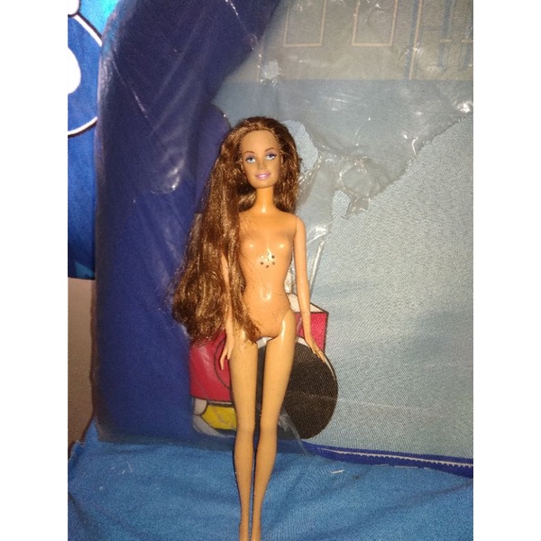 Barbie Erika preloved junk