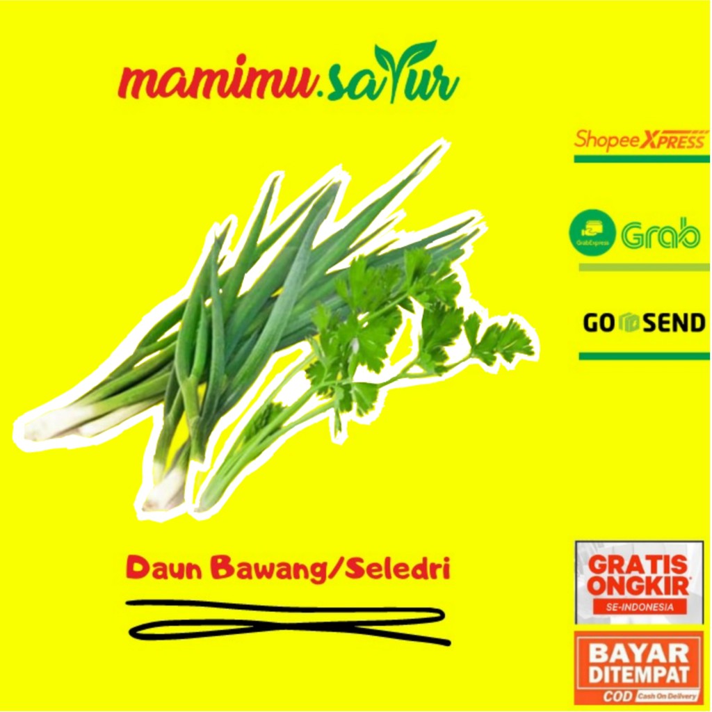 

SAYUR SAYURAN SEGAR FRESH DAUN BAWANG SELEDRI SEGAR FRESH