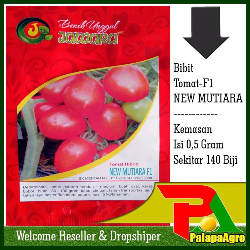 Benih Tomat NEW MUTIARA F1- Benih Tomat F1 Jawara - bibit tomat