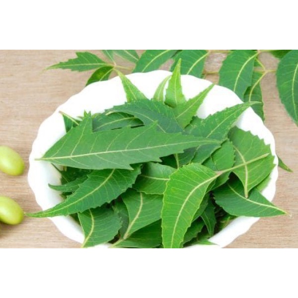 Bubuk Daun Mimba 250 g Simplisia Bubuk Nimba Murni Neem Leaves Powder