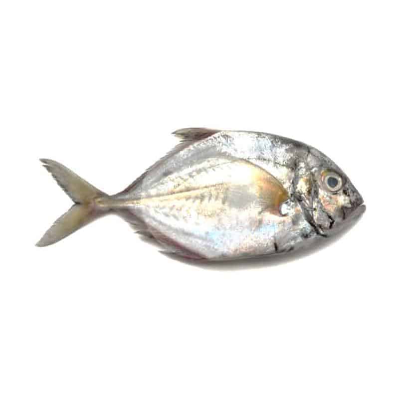 

Ikan Kuwe / kg