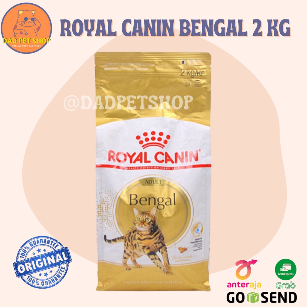 royal canin bengal cat food 2kg