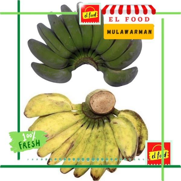 

PISANG SANGGAR/KEPOK Per Sisir /(EL FOOD Mulawarman)Buah/Sayur/Pisang