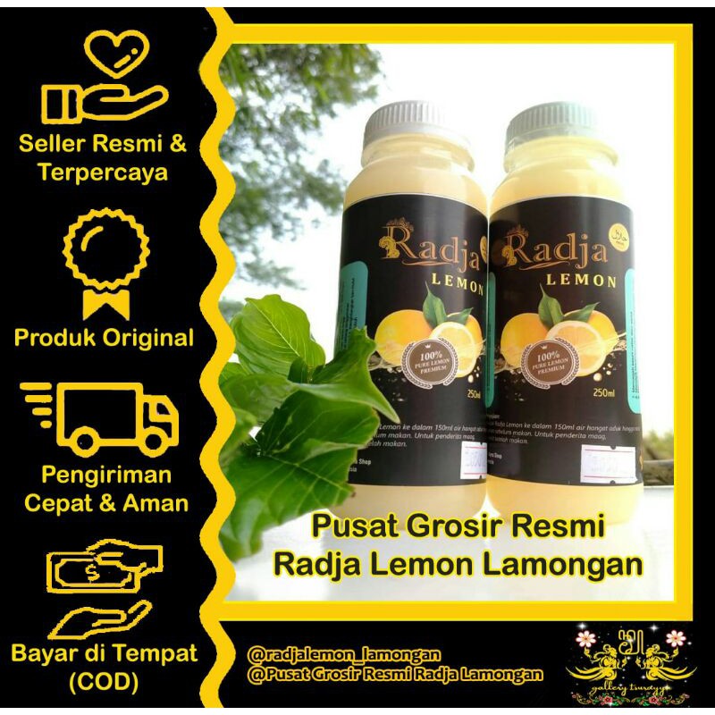 SARI LEMON RADJA LEMON NK | 100% SARI LEMON | MINUMAN DIET TANPA PENGAWET | RADJANYA LEMON WATER