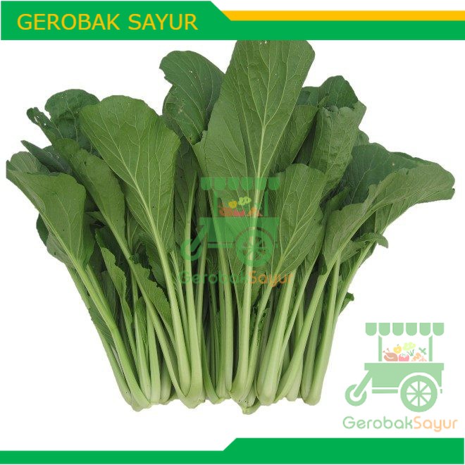 

Sawi Hijau / Caisim 500 g