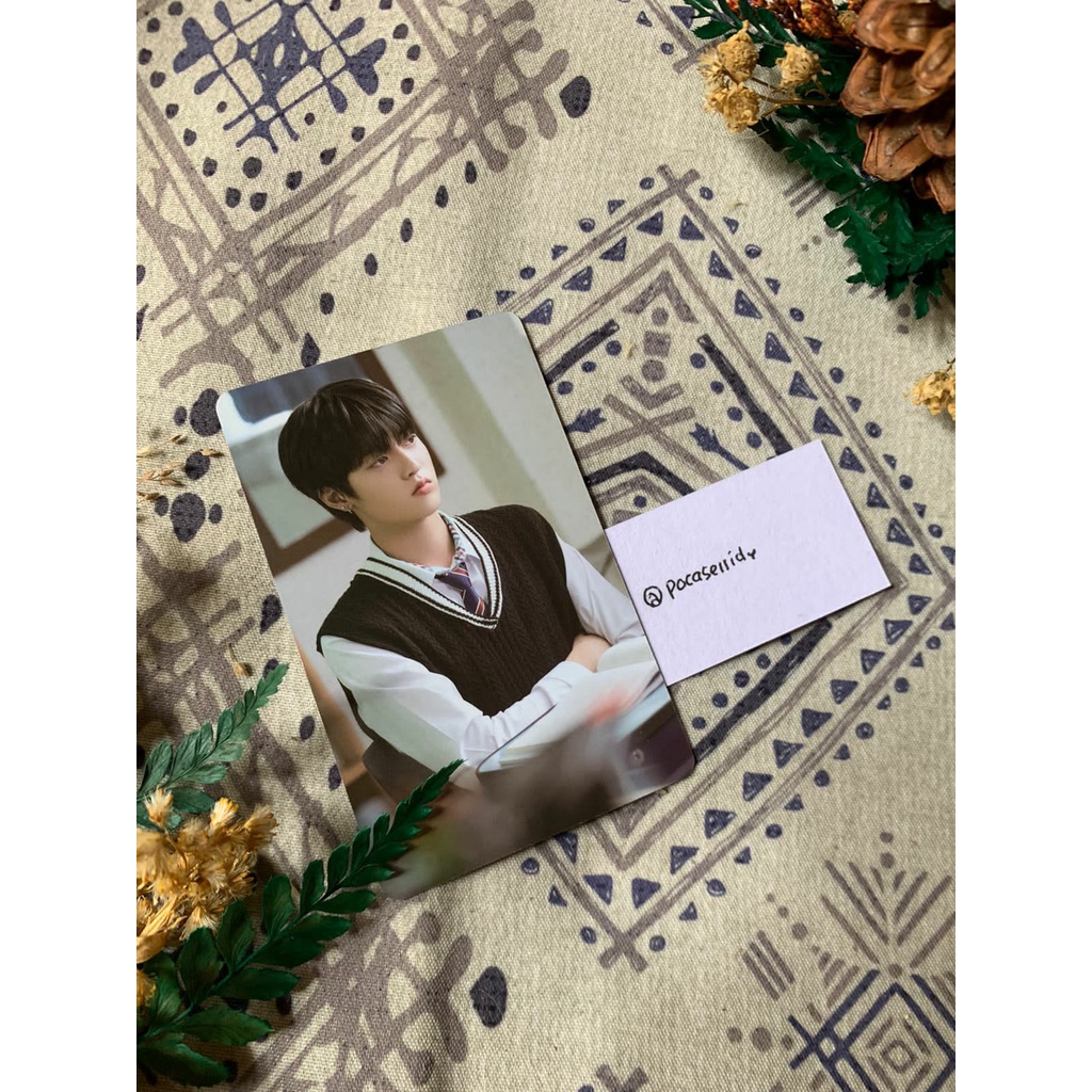 [OFFICIAL] Treasure photocard HARUTO