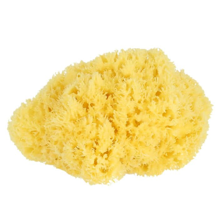 Bellini - Honeycomb Natural Sea Sponge