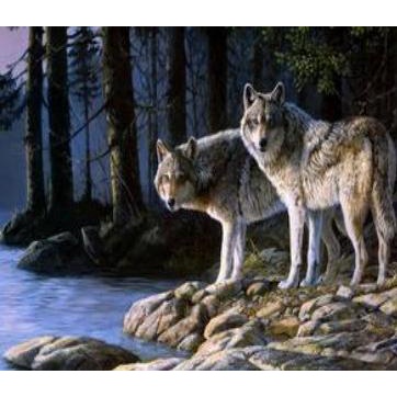 

DIY painting by number 50x40cm lukisan kanvas Animals 2