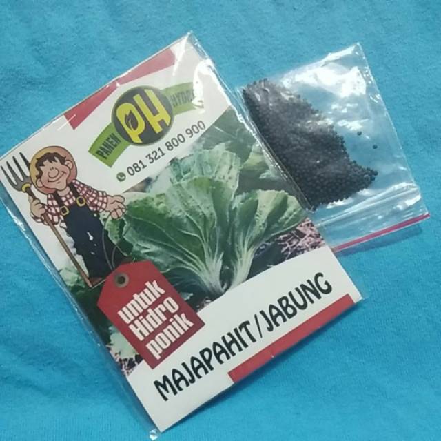 Jabung sawi pahit untuk buat sayur asin majapahit