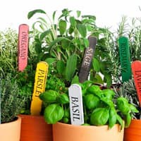 Paket Hemat - Benih DIY Culinary Herb Garden - 15 Variant Herb Seeds