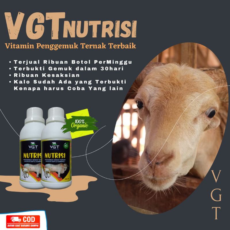 VGT NUTRISI KAMBING