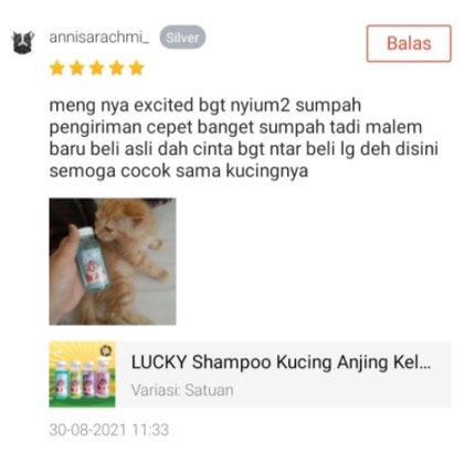 LUCKY 100 - Shampoo Kucing Anjing Kelinci ANTI KUTU &amp; JAMUR MURAH 100 ml
