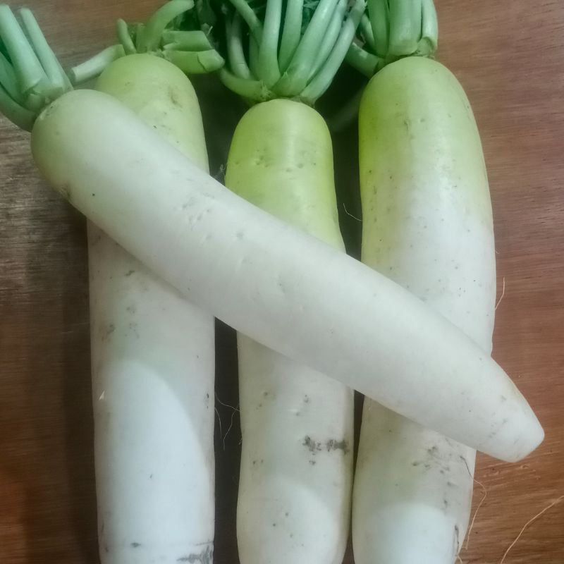 

RB Lobak Putih Segar Fresh 1kg