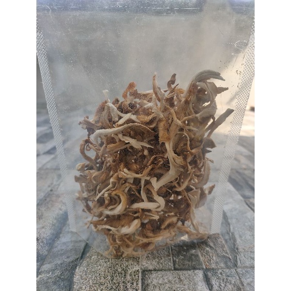 

Jamur tiram kering