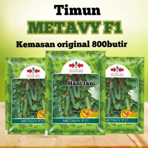 BENIH BIBIT PERTANIAN SAYURAN TIMUN HIDROPONIK