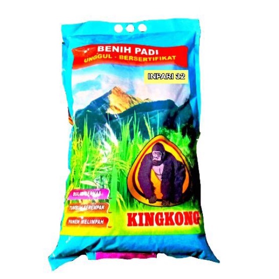 BENIH PADI INPARI 32 JUMBO KINGKONG