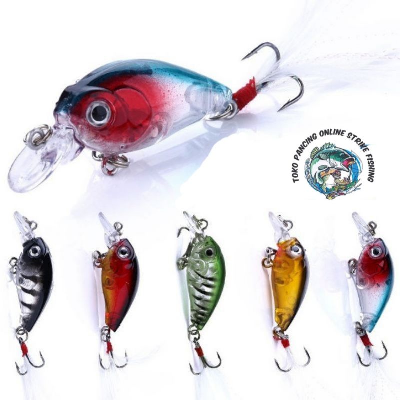 Minnow Hard Lure 3D eye