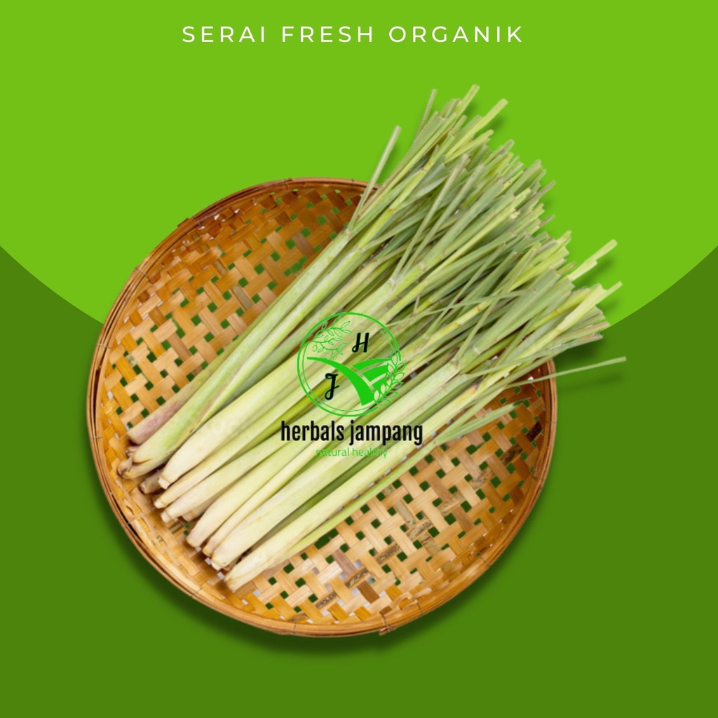 

sereh serai segar Serai Fresh Organik 90% Rempah Rempah Serai Organik Sereh Herbals serai Bumbu Dapur masak wangi herbal original natural segar Serai Segar Sereh Bumbu Fresh Bersih tinggal pakai