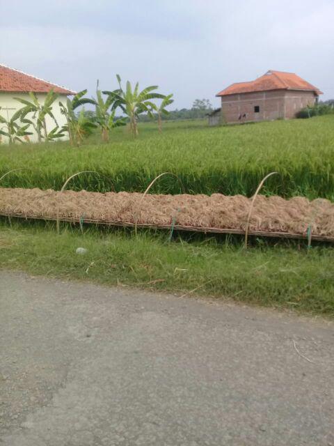 Biscuit Maker / Cetakan Kue Marcato