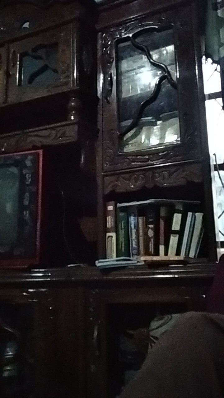 Hanung Kemeja Batik Pria Lengan Panjang Katun Halus Full Furing Batik Kanaya