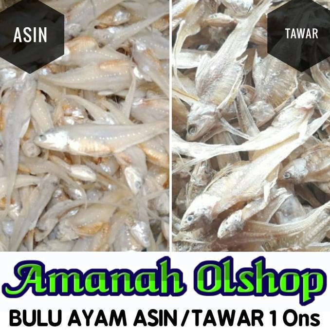 

Diskon Ikan Kering BULU AYAM Varian Rasa Asin/Tawar 100 gr Diskon