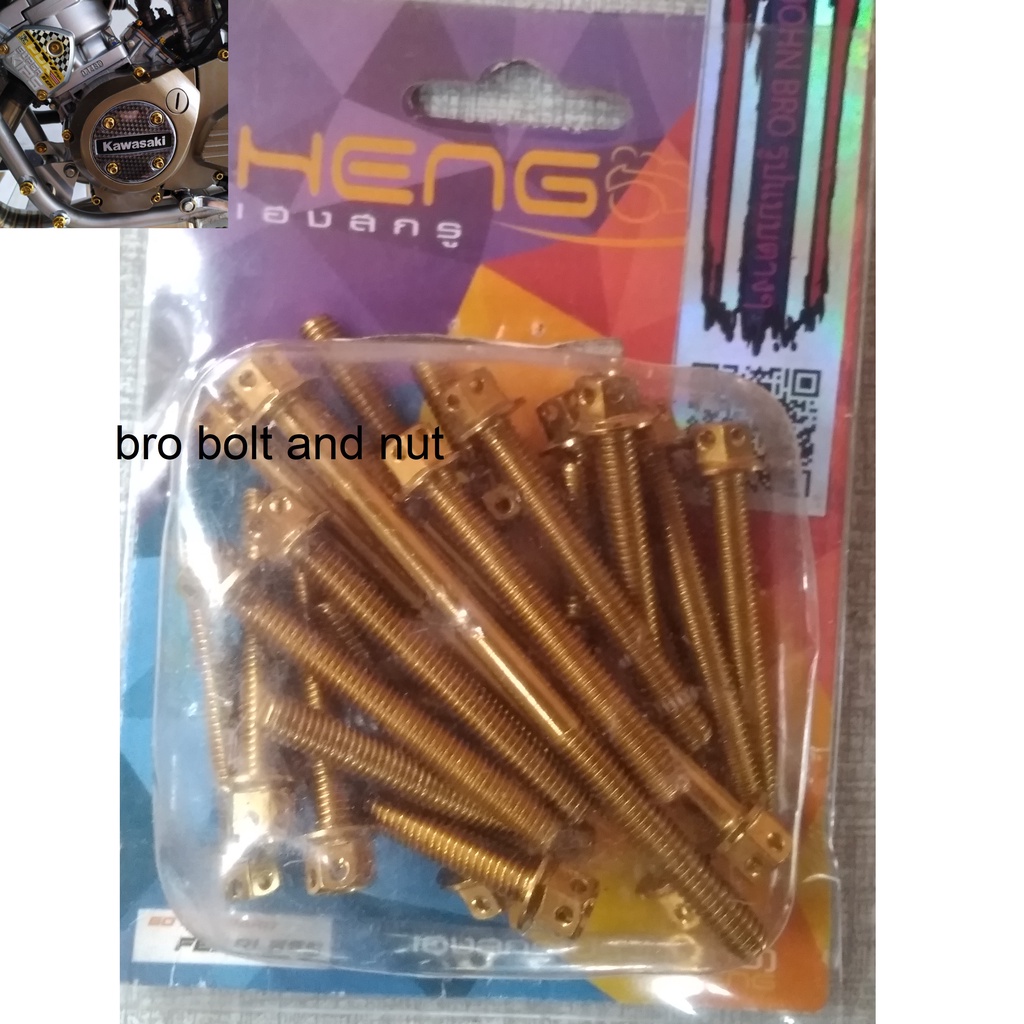 Baut Probolt Mesin Kawasaki Ninja KRR ZX150 R RR old 2004-2013 Isi 25 Baut Original Heng