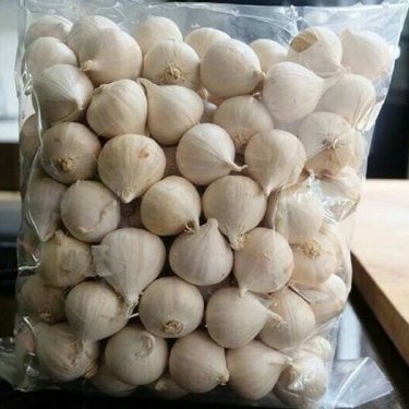

MURAH JAMU BAWANG LANANG - BAWANG PUTIH TUNGGAL - SOLO GARLIC 250 GRAM