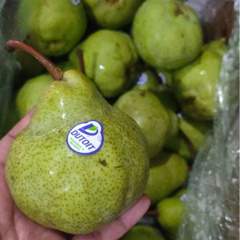 Jual Buah Pir Packham Pear Manis Segar Shopee Indonesia 