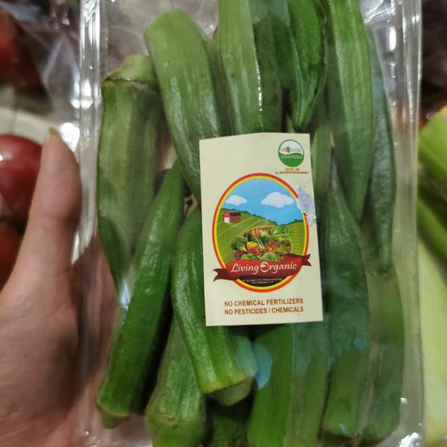 

Okra 200gr organik sayuran