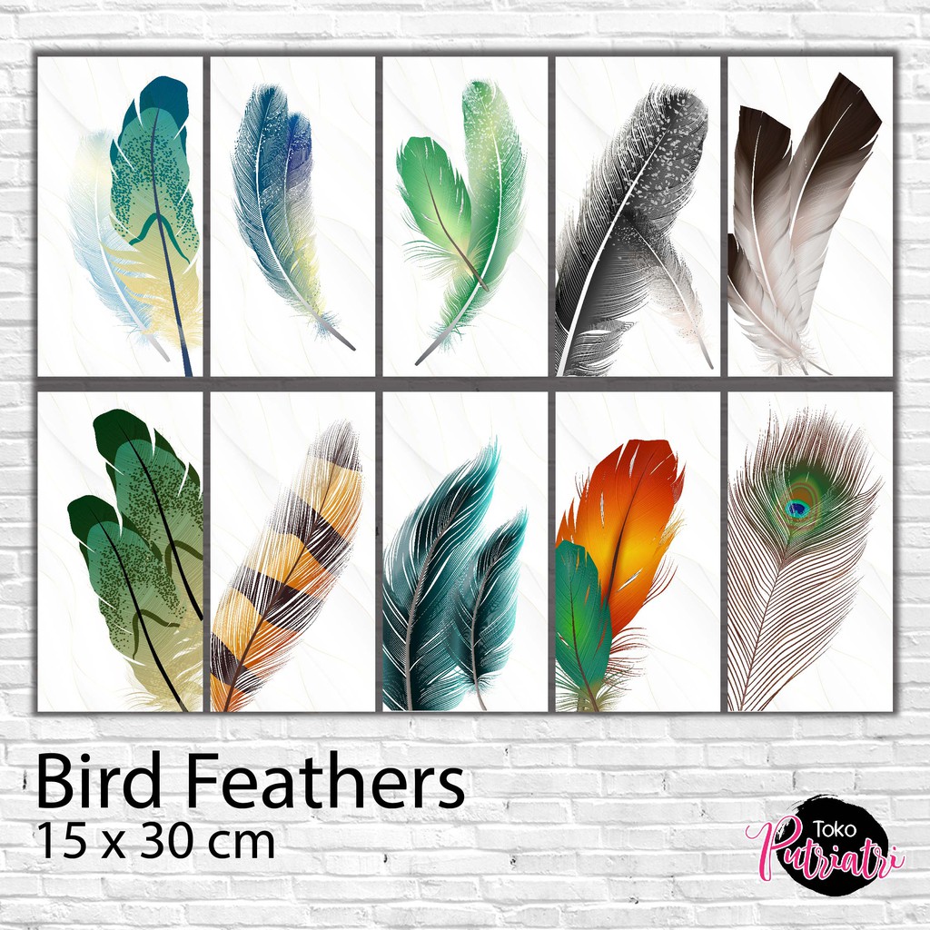 PAJANGAN RUMAH DEKORASI RUMAH POSTER KAYU PAJANGAN DINDING KAMAR TEMA ESTETIK | FEATHERS