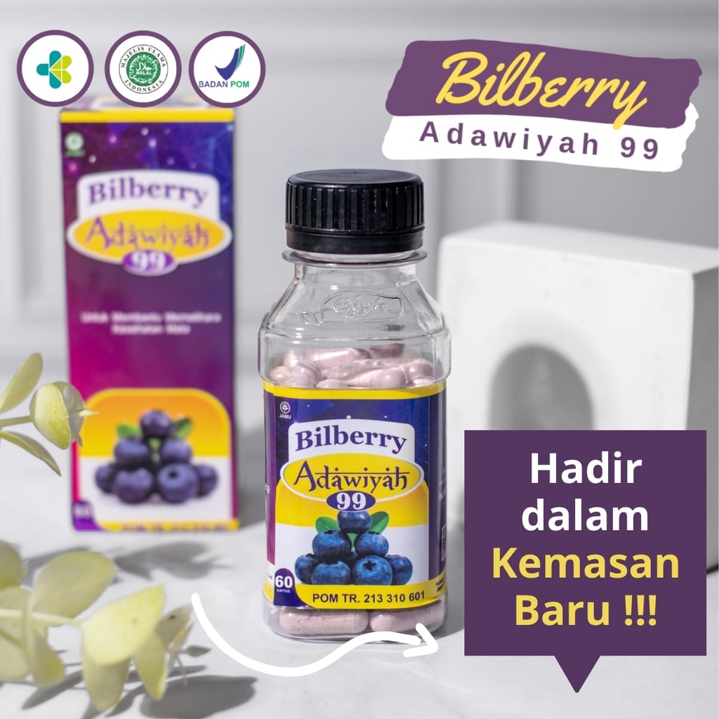 Bilberry Addawiyah 99  60 Kapsul - Herbal Kesehatan Mata membantu mengatasi mata Buram &amp; Katarak