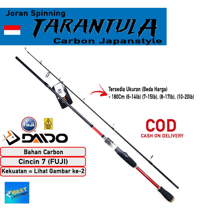 JORAN PANCING DAIDO TARANTULA CARBON 180CM FUJI JAPANSTYLE