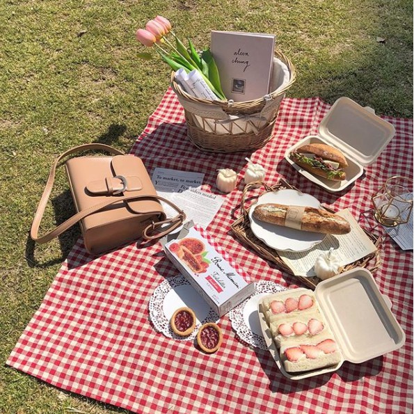 KAIN PIKNIK - Estetik Korea Alas Kotak Kemping Picnic Background Fotografi Tikar Fotografer Meja