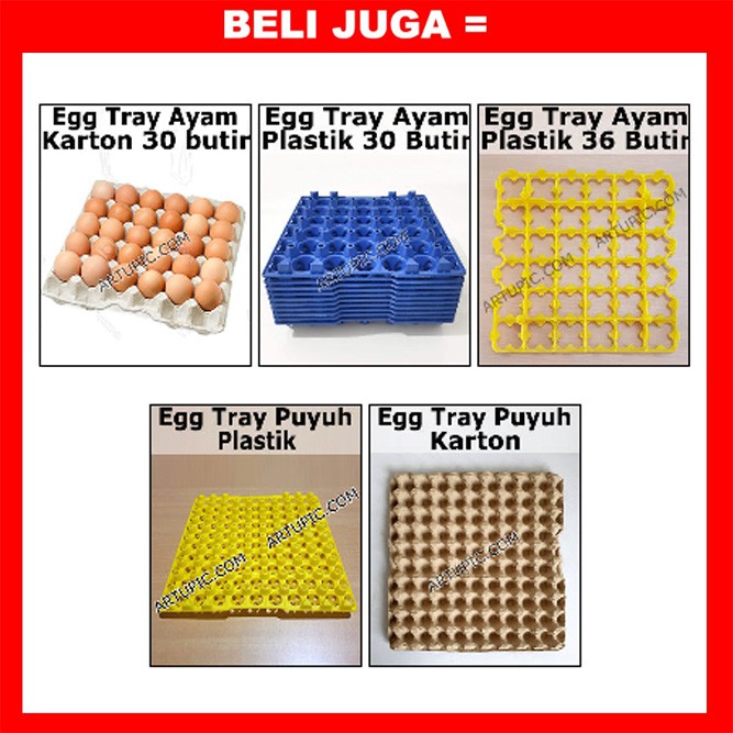 EGG TRAY TELUR AYAM 36 BUTIR RAK TEMPAT TELUR TELOR