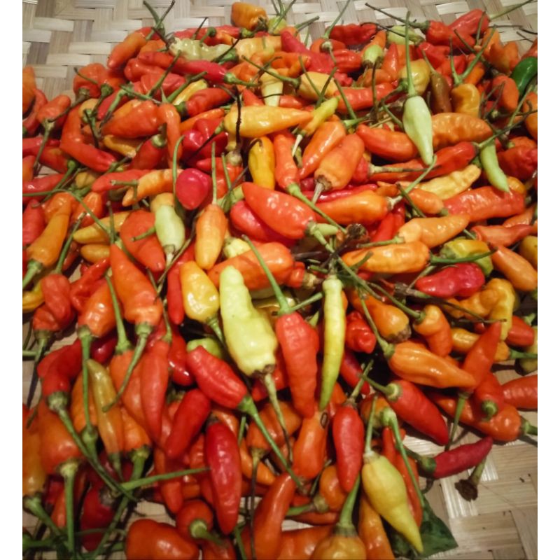 

cabe rawit